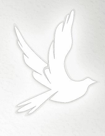 Deborah J. Cooper Obituary