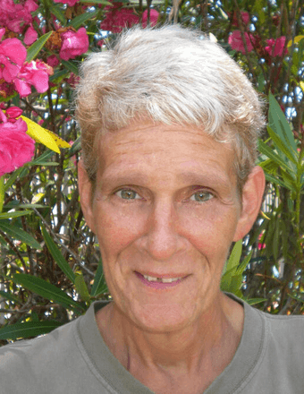 Cheryl Ann (Livers) Lueder Obituary